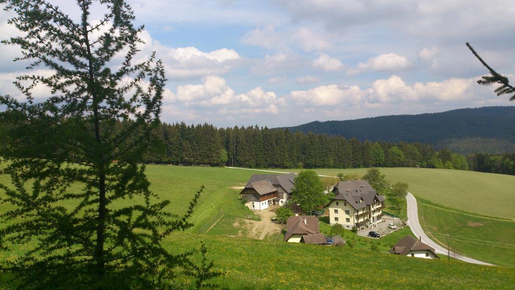 Bauernhof Hoenigshof Фішбах Екстер'єр фото