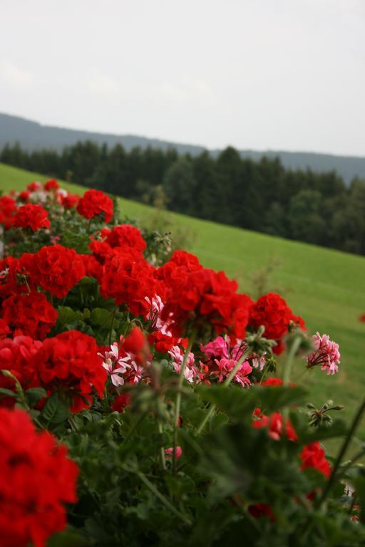 Bauernhof Hoenigshof Фішбах Екстер'єр фото