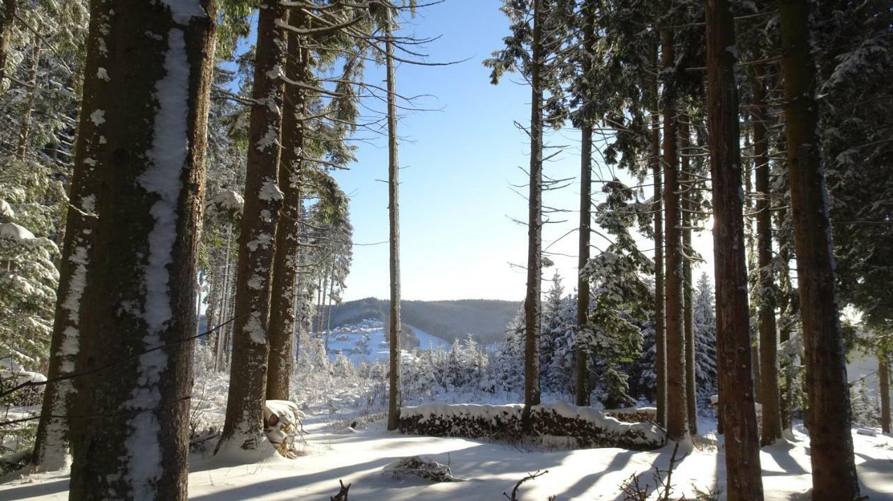 Bauernhof Hoenigshof Фішбах Екстер'єр фото